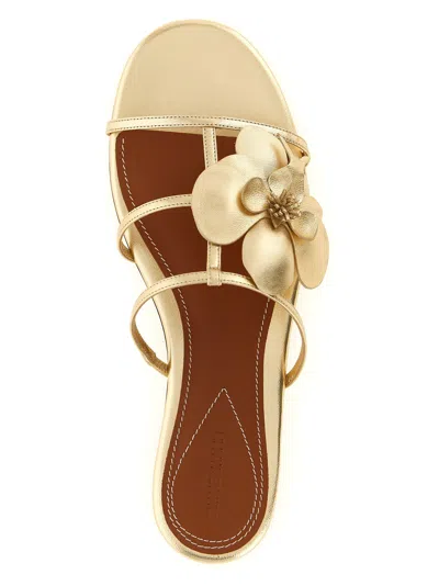 Zimmermann Orchid Flat Sandal Metallic Straps Floral In Gold