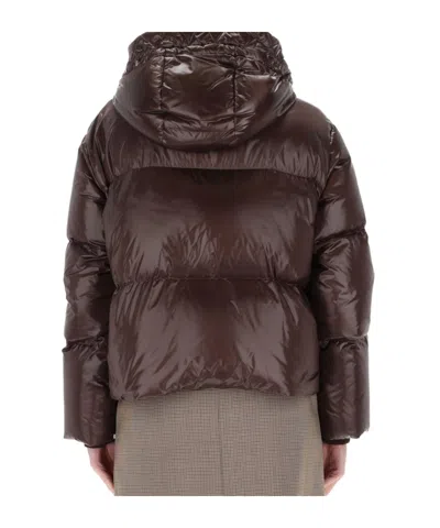Fay Down Jacket With Hood In Brown