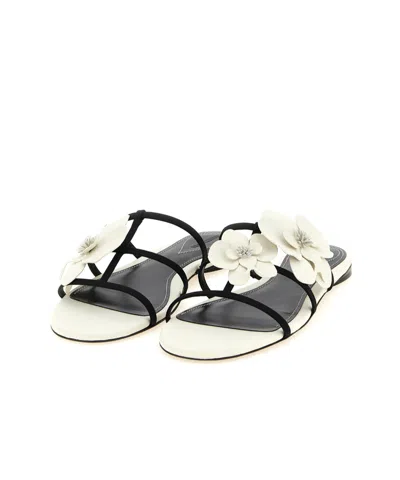 Zimmermann Orchid Floral Flat Strappy Open Toe Sandals In Multi