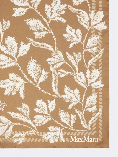 Max Mara Pattern Scarf In Brown