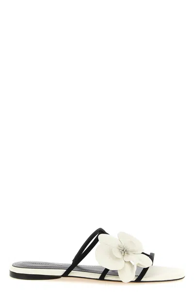 Zimmermann Orchid Floral Flat Strappy Open Toe Sandals In Multi