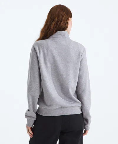 The North Face Evolution Quarter Zip Pullover In Gray