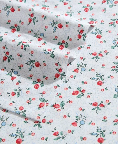 Laura Ashley Cotton Percale 4-pc. Sheet Set, Full In White