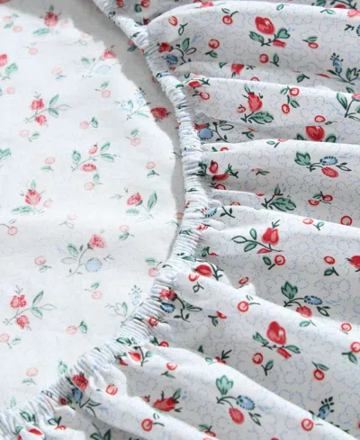 Laura Ashley Cotton Percale 4-pc. Sheet Set, Full In White