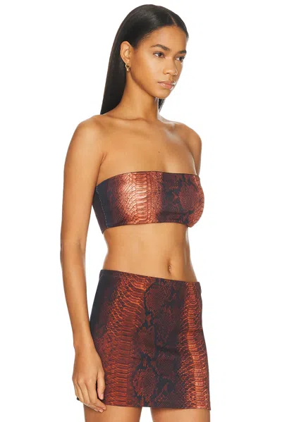 Jean Paul Gaultier Cotton Ribbed Printed Python Bra Top In Brown