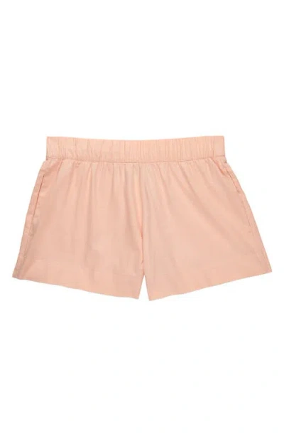 Free Fly Sullivans Short In Neutral