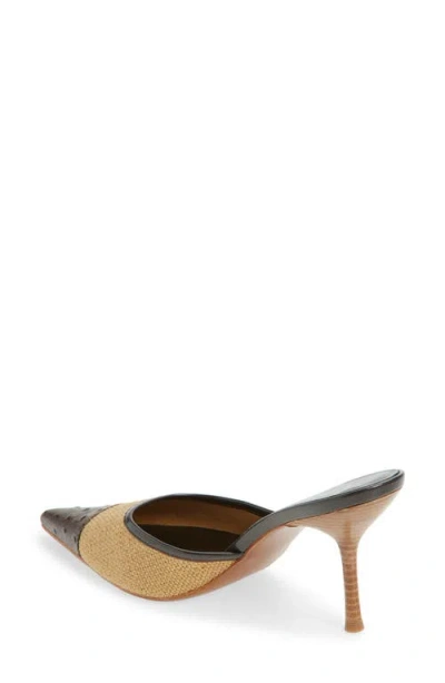 Jeffrey Campbell Parse Pointed Cap Toe Mule In Multi
