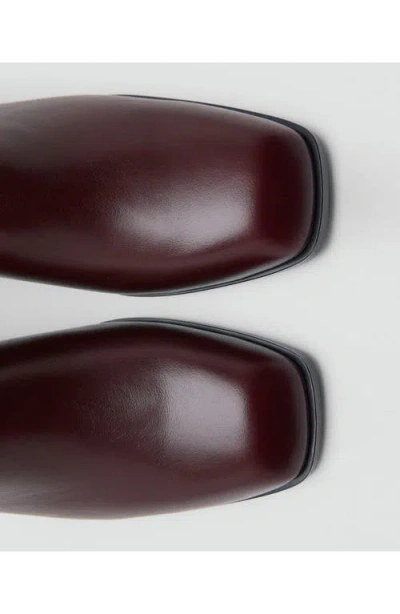 Mango Squared Toe Leather Ankle Boots In Burgundy