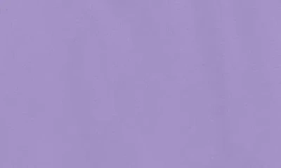 Primary Long Sleeve Rashguard In Multi