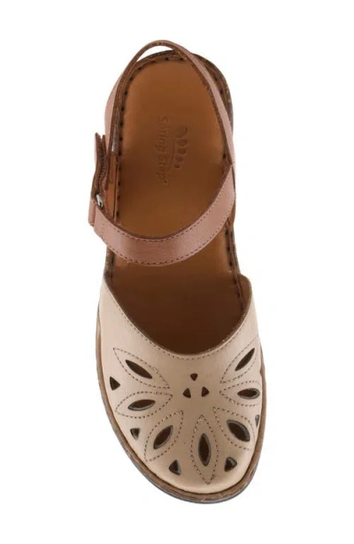 Spring Step Azmira Ankle Strap Clog In Multi