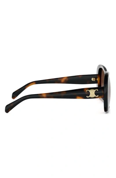 Celine Triomphe 55mm Gradient Pilot Sunglasses In Brown