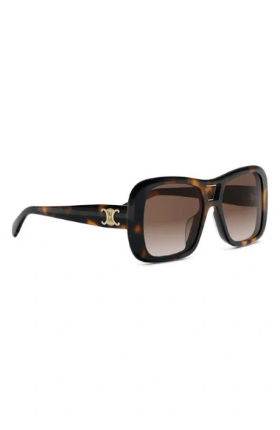 Celine Triomphe 55mm Gradient Pilot Sunglasses In Brown