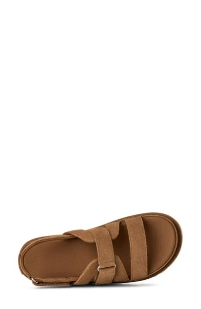 Ugg Goldenstar Flat Slingback Suede Sandals In Brown