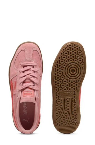 Puma Palermo Sneaker In Pink