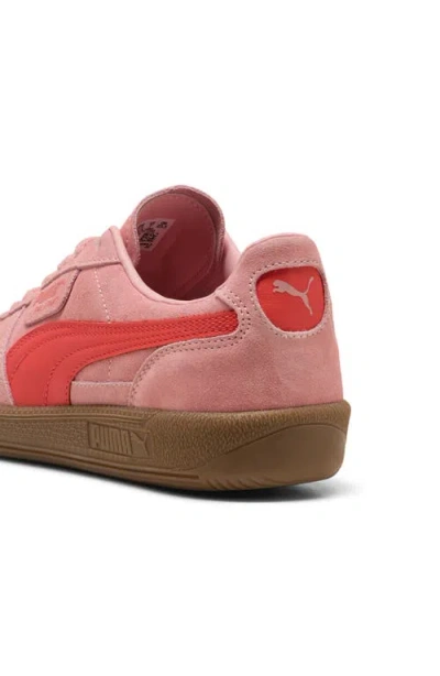 Puma Palermo Sneaker In Pink
