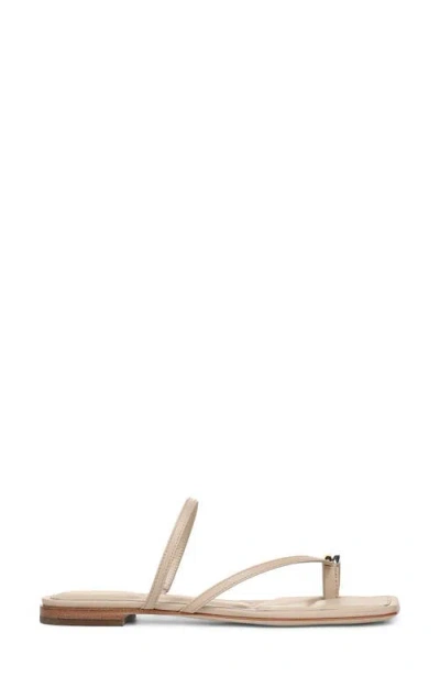 Vince Polli Toe Loop Sandal In Neutral