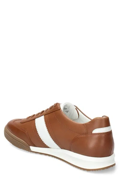 Mephisto Elyo Sneaker In Brown