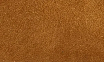 Madewell Hester Ballet Flat In Brown