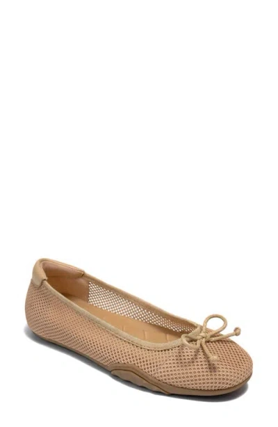 Aerosoles Onyx Mesh Ballet Flat In Multi