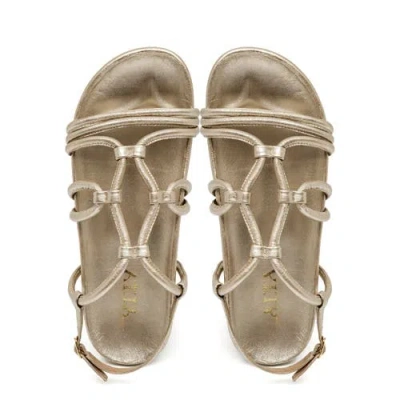 Alta Flora Sandals In Multi