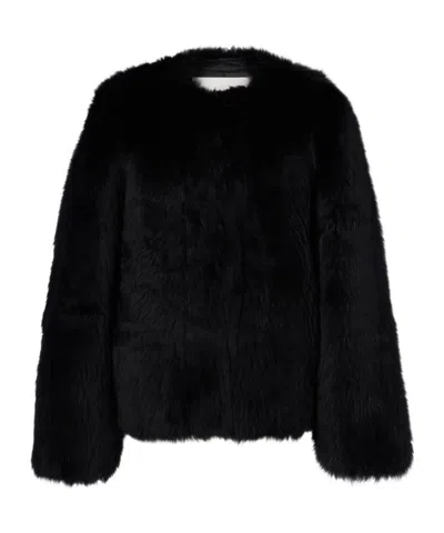 Joseph Gomez Shearling Jacket In Black