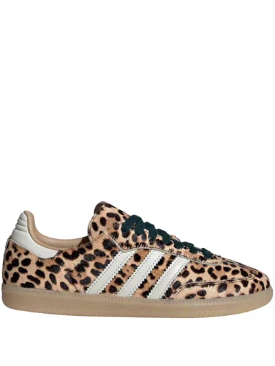 Adidas Originals Handball Spezial Leopard-print Leather Sneakers In Animal Print