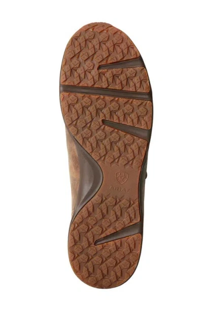 Ariat Spitfire Chukka Boot In Brown
