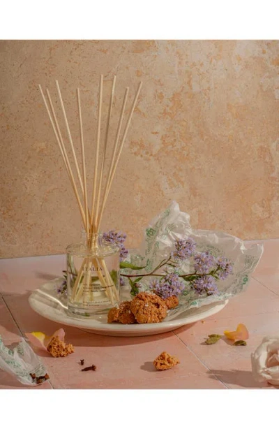 Brooklyn Candle Studio Italia Reed Diffuser In Transparent