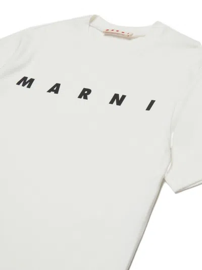 Marni Kids Logo-printed Crewneck T-shirt In White