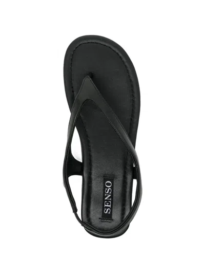Senso Nessa Sandal In Black