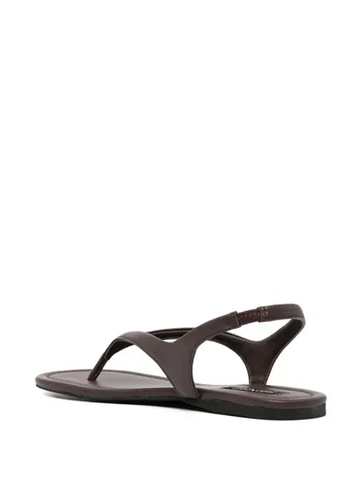 Senso Nessa Flat Sandals In Brown
