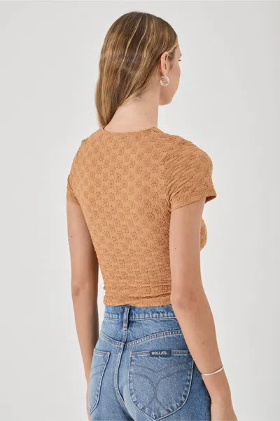 Rolla's Daisy Lace Tee In Brown