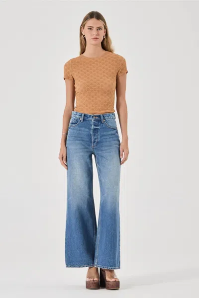 Rolla's Daisy Lace Tee In Brown