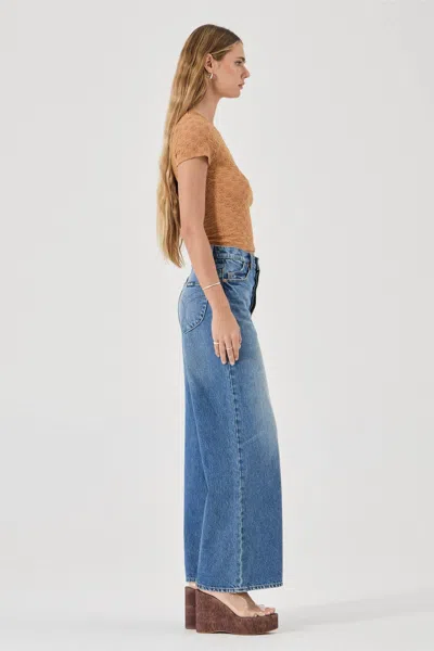 Rolla's Daisy Lace Tee In Brown