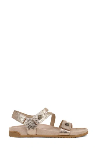 Vionic Essie Ankle Strap Sandal In Brown