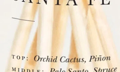 Brooklyn Candle Studio Santa Fe Reed Diffuser In Transparent