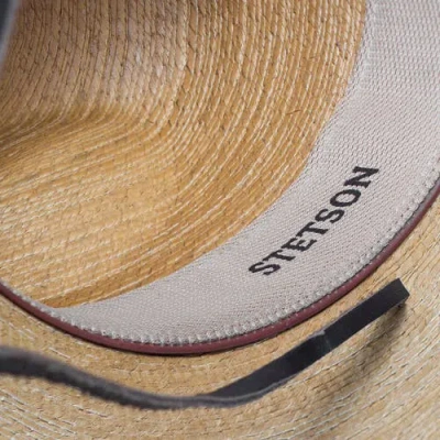Stetson Bryce Hat In Brown
