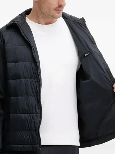 Joop Miguel Padded Jacket In Multi