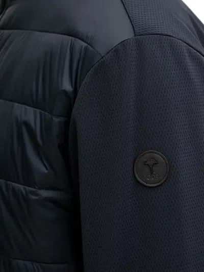 Joop Miguel Padded Jacket In Multi