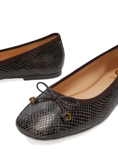 Odissi Lou Python-print Leather Ballet Flats In Brown