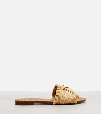 Dolce & Gabbana Dg Raffia-effect Slides In Multi