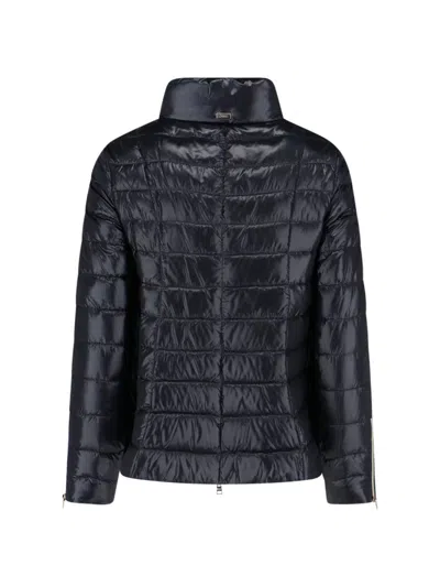 Herno Padded Down Jacket In Black