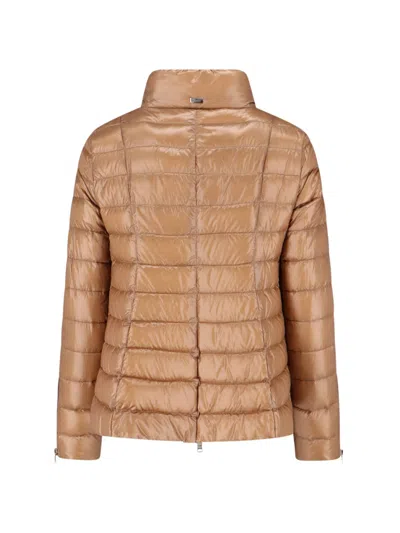 Herno Padded Down Jacket In Brown