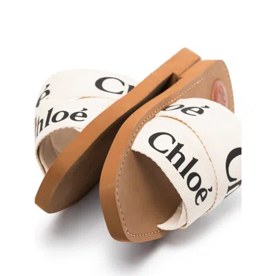 Chloé Burberry Multicolor Suede And Leather Sneakers In Animal Print