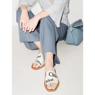 Chloé Burberry Multicolor Suede And Leather Sneakers In Animal Print