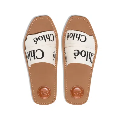 Chloé Burberry Multicolor Suede And Leather Sneakers In Animal Print