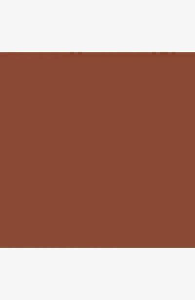 Iro Embella Belt In Brown