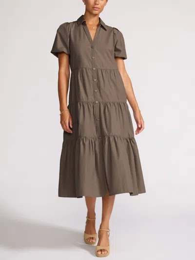 Brochu Walker The Havana Dress In Brown