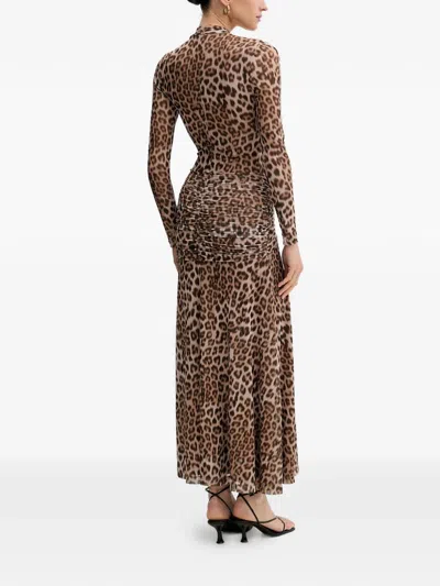 Bardot Lea Leopard Print Long Sleeve Mesh Midi Dress In Brown
