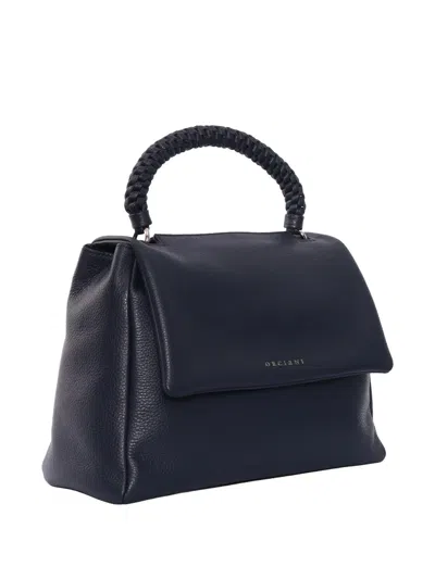 Orciani Medium Sveva Sense Scooby Braided-handle Tote Bag In Blue